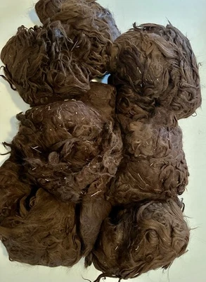 HUGE 6 POUNDS 2.8oz Natural Raw Brown Mariposa SURI Alpaca Spinning Fiber (B39) - Image 1 of 4