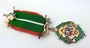 VINTAGE SILVER & ENAMEL ANCIENT ORDER OF FORESTERS BREAST JEWEL HM B'HAM 1979 - Picture 1 of 7