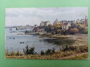 POST CARD SALMON AR QUINTON 2205 PORT ST. MARY, ISLE OF MAN - Picture 1 of 2