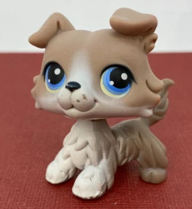❤ Littlest Pet Shop ❤ LPS #67 - Authentic Collie Dog with Magnet - Picture 1 of 5
