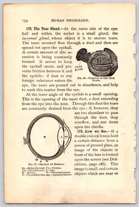 The Eyeball Ephemera Human Anatomy Scientific Illustration Junk Journal - Picture 1 of 2