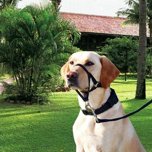 Dog Mouth Muzzle With Towing Rope AdjuDog Head Collar Halter Prevent From Hot. - Picture 1 of 14