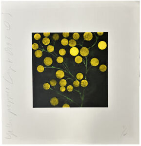 Donald Sultan Yellow Peppers 1994 Signed Limited Edition Screen Print