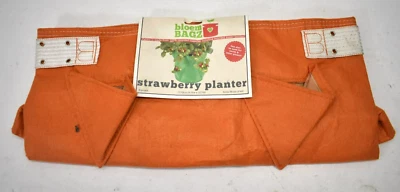 Maceta de fresas Bloem Bagz tiene capacidad para 38 cuartos de galón de suelo material reciclado amanecer Foto 1 de 4