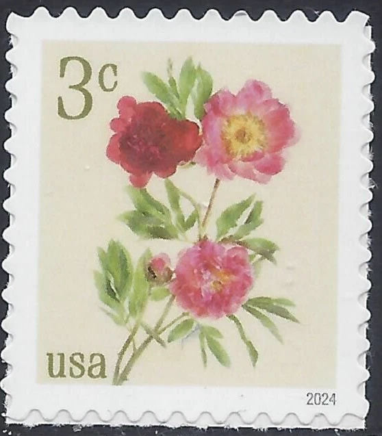 US 2024 Stamps 3 cent Peonies Scott #5899 single - Image 1 of 1