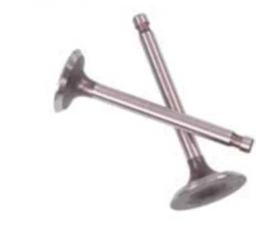 Shindy Valve Set for Yamaha 1998-01 YFM 600 YFM600 Grizzly (07-311) - Image 1 of 1