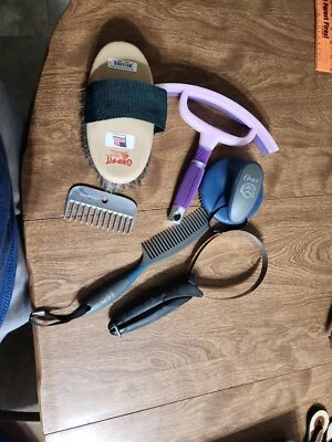 Kit de herramientas de aseo de caballos para principiantes 6 piezas Foto 1 de 4