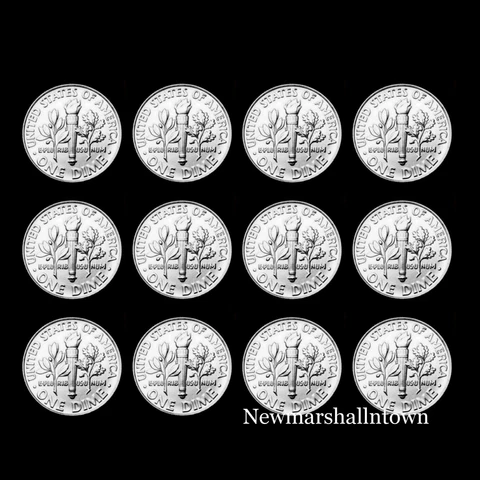 2005 2006 2007 2008 2009 2010 P+D Roosevelt Dime Business Strikes from Bank Roll Cover