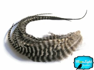 6 pieces - NATURAL Thick Long Grizzly Rooster Hair Extension Feathers - Picture 1 of 2