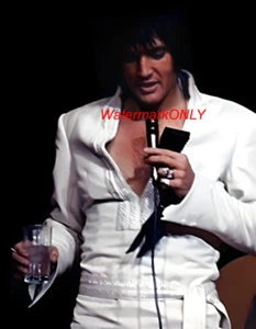 "Elvis Presley" "King of Rock & Roll" Beautiful "Pin Up" PHOTO! #(120) - Picture 1 of 2