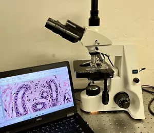 Amscope T690C Clinical Trinocular Biological Microscope - Picture 1 of 18