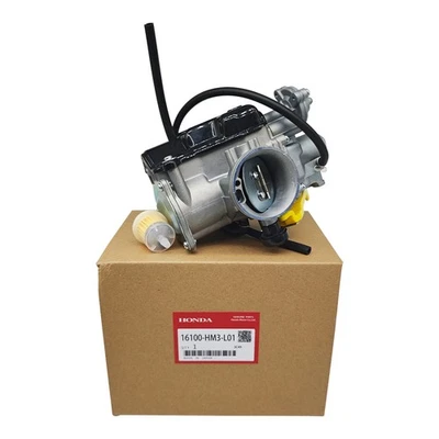 New Genuine Carburetor Fits 1993-2006 Honda Sportrax 300 TRX300EX 16100-HM3-L01 Foto 1 de 4