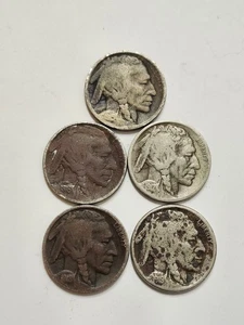 1915 S , 1916 S , 1917 D , 1918 D , 1919 S Buffalo Nickels - Semi Key Date Coins - Picture 1 of 11