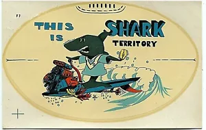[RUGBY LEAGUE] This Is Shark Territory - Transfer - Picture 1 of 2