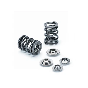 Supertech Valve Spring Kit For Honda K24Z7 | Dual - Picture 1 of 4