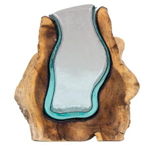 Glasvase in Wurzelholz 2837 22x8 cm Höhe 22 cm Unikat, Hingucker, Geschenkidee - Bild 1 von 7