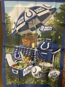 NFL Indianapolis Colts Flag 28”x39.5” Summer Picnic BBQ Cooler “Go Colts” Used - Picture 1 of 10