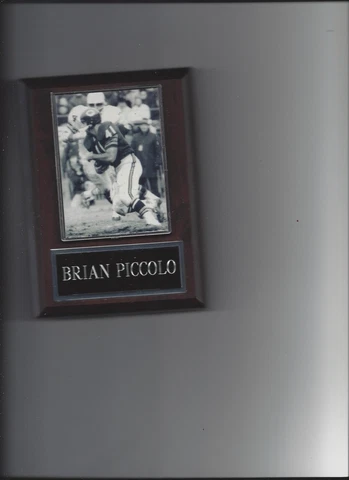 BRIAN PICCOLO PLAQUE CHICAGO BEARS FOOTBALL NFL Cover