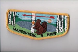 Lodge 8 Mascoutens S-5 OA flap - Picture 1 of 1
