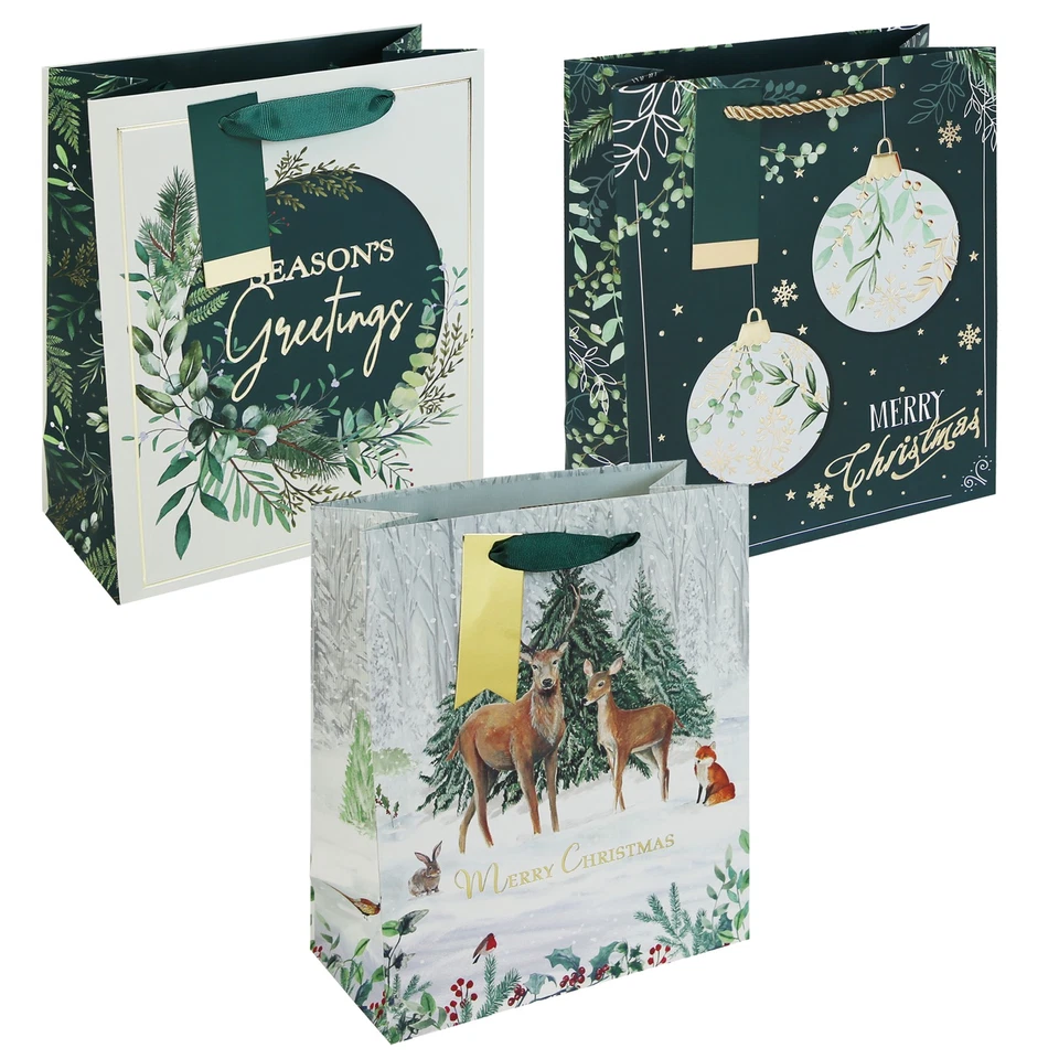 EUROWRAP Christmas Gift Bag with Gift Tag Green 25.5cm x 21.5cm x 10cm - Choose Design