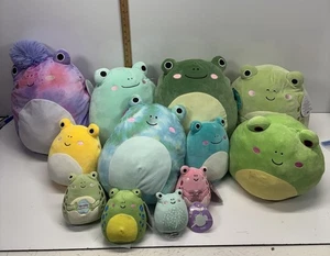 Squishmallows Menge 12 Frösche Neu mit Etikett - Bild 1 von 11