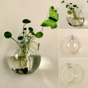 Wall Hang Glass Flower Planter Vase Terrarium Ball Container Home Garden Decors - Picture 1 of 11