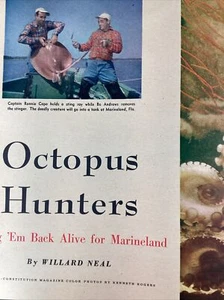 Marineland Florida Atlanta GA Print Article 1952 AJC Octopus Hunter Capo Andrews - Picture 1 of 15