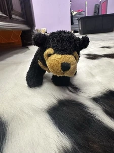 Ganz Webkinz Sun Bear NO TAG Rare Stuffed Plush Toy - Picture 1 of 4