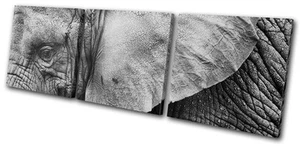 Tiere Elefant wilde DISKANT LEINWANDBILD WANDBILD Bild Druck VA - Bild 1 von 1