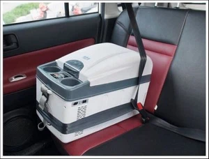 Refrigerador y calentador portátil de CC 12/24V 20 L para automóvil y hogar ¡solo 220 V! - Imagen 1 de 7