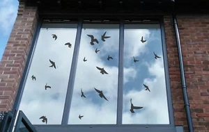 Bird Strike Warning Sticker Window Glass Door Anti Collision Protection - Picture 1 of 2