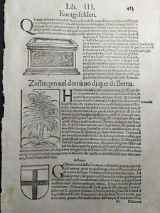 2 fg. Svizzera Münster Cosmographia Universalis Byrckmanno Colonia 1575 - Picture 1 of 3