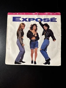 EXPOSE’- Tell Me Why/ Let Me Down Easy 45RPM 7” ARISTA Records AS1-9916 Nm Vinyl - Picture 1 of 4