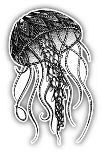 Jellyfish Sketch Car Bumper Sticker Decal - Picture 1 of 1