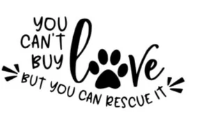 You Can’t Buy Love But You Can Rescue It White Vinyl Decal Sticker - Bild 1 von 1