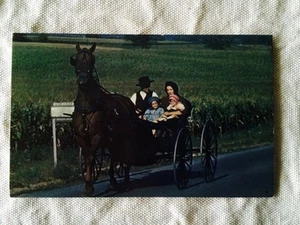 Postkarte - Amish Horse & Buggy - Pennsylvania Dutch Country - Bild 1 von 2