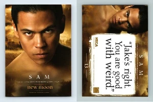 Sam #13 Twilight New Moon 2009 Neca Trading Card - Picture 1 of 1
