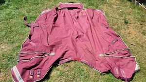 Premier Equine Buster Zero Turnout Rug Burgundy - Picture 1 of 3