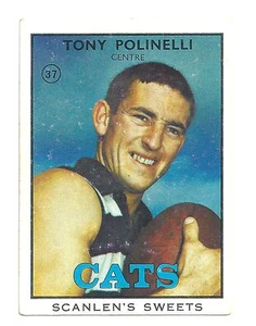 1968 B Scanlens (37) Tony POLINELLI Geelong Excellent - Bild 1 von 1