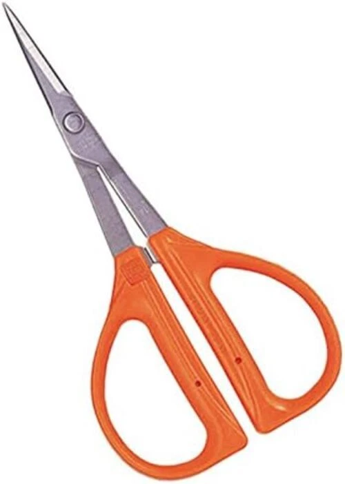 New CHIKAMASA Professional Horticultural Stainless Grape Scissors 155mm B-300S - Image 1 of 1