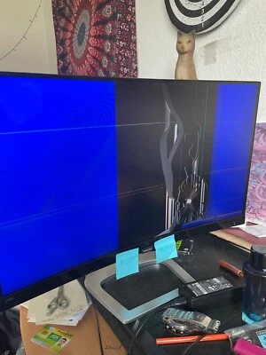 24-inch LCD curved monitor Philips 248E9QHSB00 BROKEN SCREEN - Bild 1 von 2