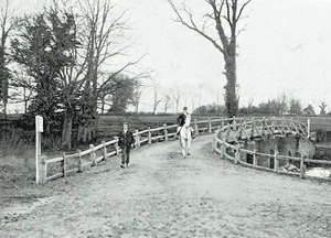 Chiddingfold Hunt Meet Chiddingfold Hounds 1898 2 Page Photo Article K152 - Picture 1 of 3