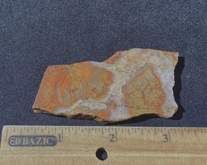 Kinradit Sorte Brekzienjaspis (sehr selten) 32 Gramm - Nordkalifornien - Bild 1 von 8
