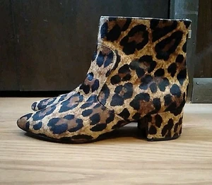 KARL LAGERFELD stivaletto donna marrone maude leopardato al polpaccio taglia 8,5 - Foto 1 di 8
