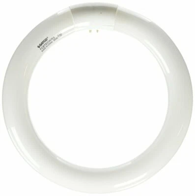 Satco S6500 4100K 22-Watt 4 Pin T9 Circline Lamp, Cool White - Image 1 of 3