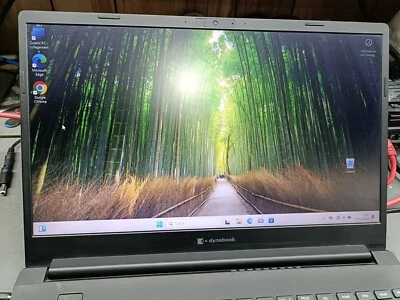 Dynabook Toshiba SatellitePro-15.6"-i5 10à gen.-ram16GB-ssd M2 Nvme 256GB win 11 - Immagine 1 di 4