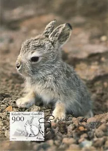 Arctic Hare Bunny Lepus Arcticus Tundra Greenland Mint Maxi FDC Card 1994 - Picture 1 of 1