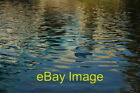 Photo 6x4 Colours reflected in the Severn Colours from the Hampton Loade  c2009