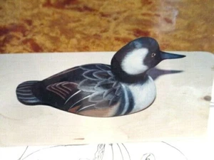 Craft Woodburned Hooded Merganser Duck Decoy Pattern Packet  PP #81 - Picture 1 of 2