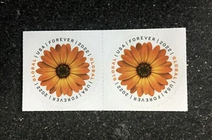 2022USA #5680 Global Forever Rate - African Daisy - Block of 2 Mint sase postage - Picture 1 of 1